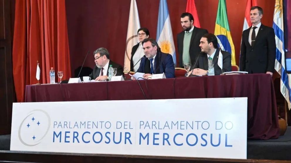 Elecciones nacionales: en Salta también se votará al candidato para el Parlasur, esta es la función que cumplirá