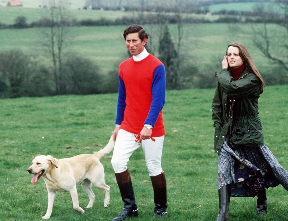 Carlos III y Wellesley