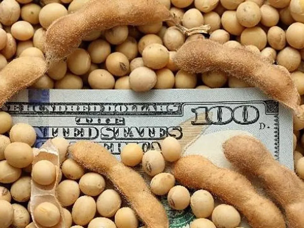 La agroexportación en Argentina sufre una drástica disminución en el ingreso de divisas durante junio
