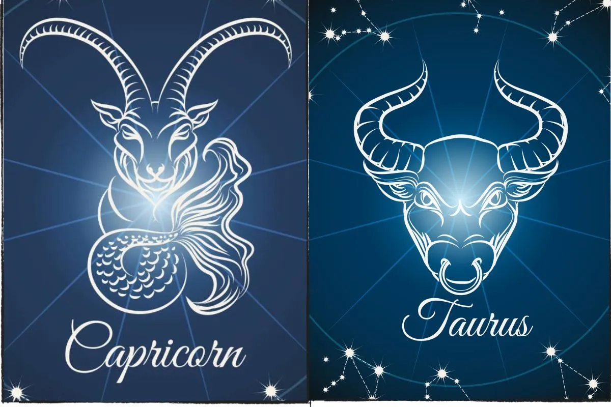 Capricornio y Tauro