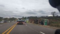 Tras el accidente de un camión transportador de vacas en Río Piedras, la gente aprovechó para llevarse carne