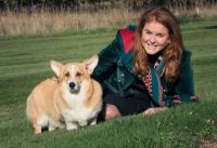 Sarah Ferguson acelera su recuperación con la ayuda de sus perros: esto dijo en su podcast