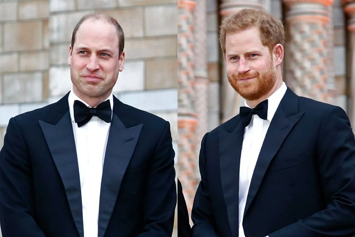 PRINCIPE WILLIAM Y HARRY