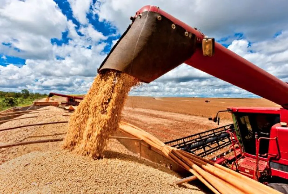 Piden coparticipar las retenciones a la soja para que Salta obtenga más de cien millones de dólares