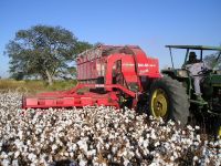 El Gobierno busca potenciar la producción de algodón en Salta 