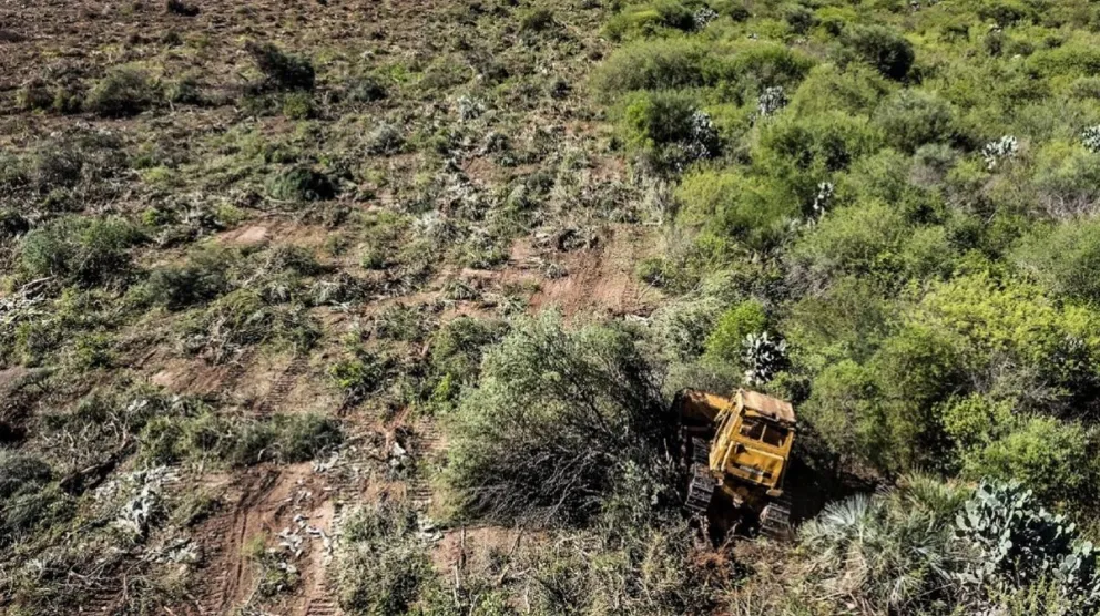 Salta tiene el mayor desmonte ilegal de los últimos 30 años