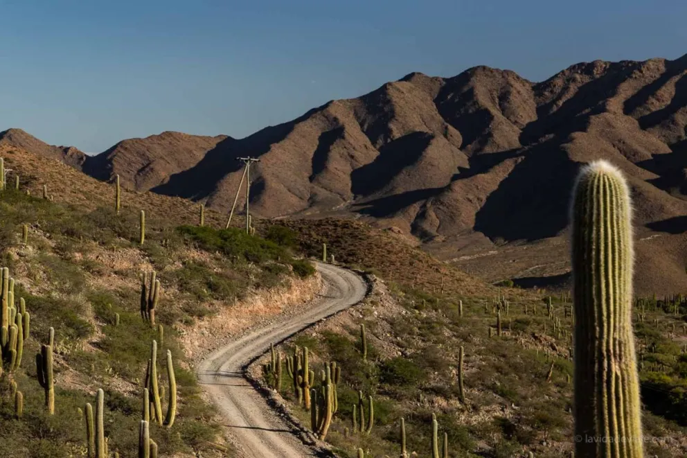 Lugares mágicos de Salta: Cachi, el encantador pueblito salteño de un paisaje de ensueño