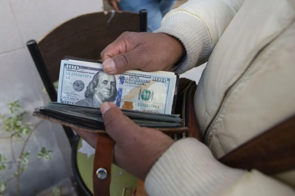 Histórica suba del dólar: los arbolitos salteños piden hasta $560