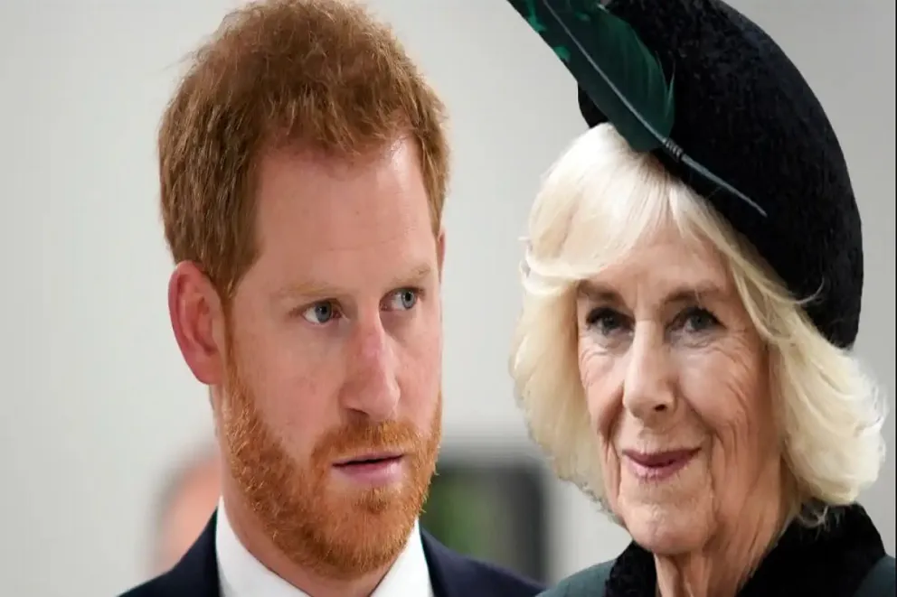 El príncipe Harry no se aguanta más y reveló lo que Camila hizo que jamás le perdonó