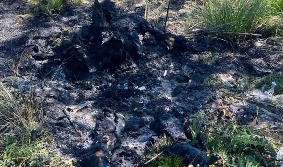 Horror: encontraron el cuerpo calcinado de una persona en un descampado