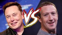 Elon Musk retó a Mark Zuckerberg a una pelea y confirmó que será transmitida en vivo: detalles