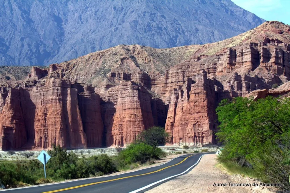 Cafayate tiene las empanadas más caras: mirá cuánto cuestan