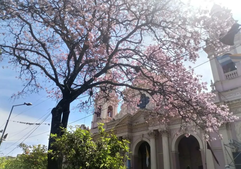 Tiempo en la ciudad de Salta: el pronóstico para este lunes 9 de octubre 
