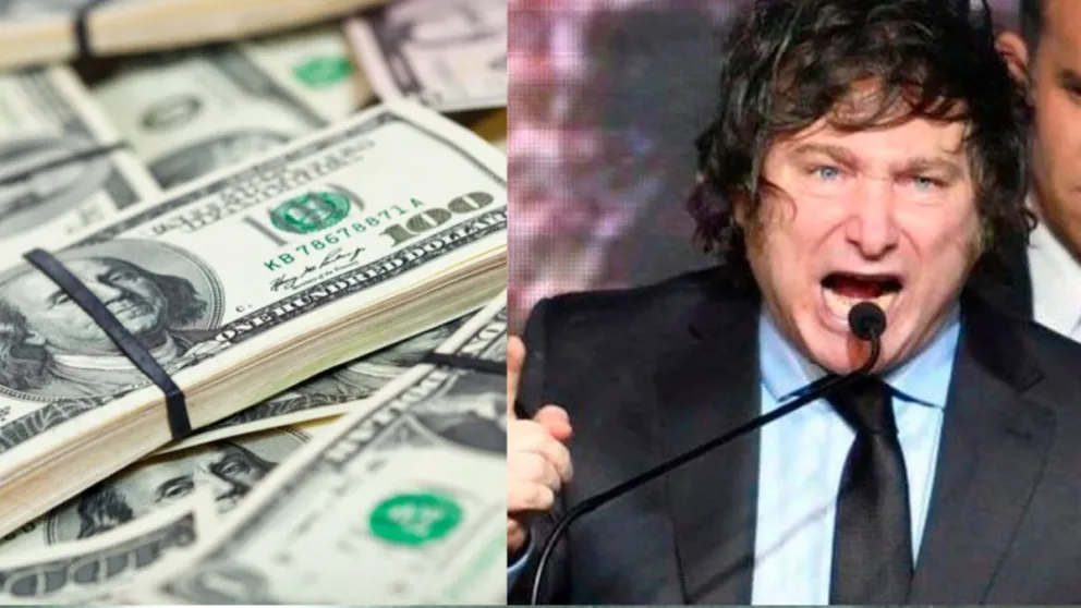 Dólar oficial y dólar blue lunes 14 de agosto: a cuánto abrió tras el triunfo de Javier Milei en las PASO 2023