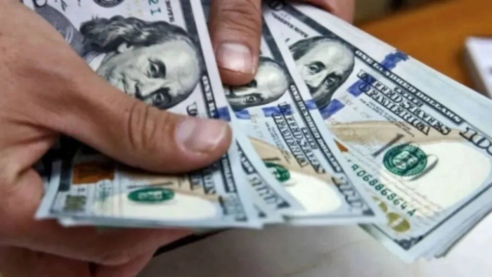 Dólar oficial y dólar blue: a cuánto abrió la cotización este miércoles 11 de octubre