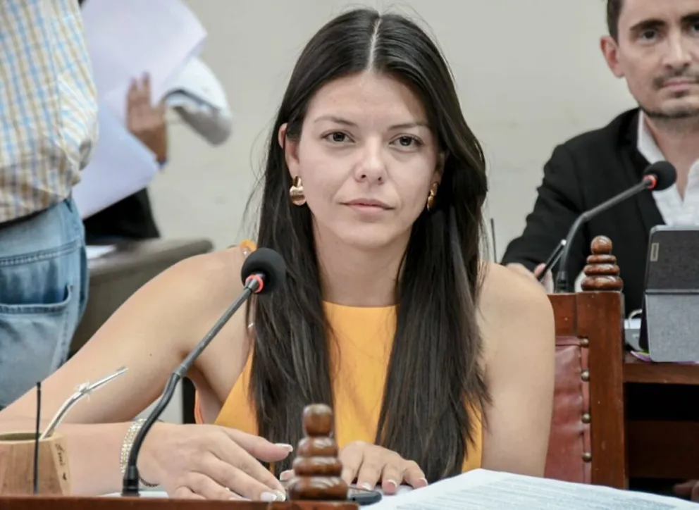 Elecciones 2023, VIDEO | Emilia Orozco denunció que encontraron boletas rotas y tachadas en escuelas salteñas