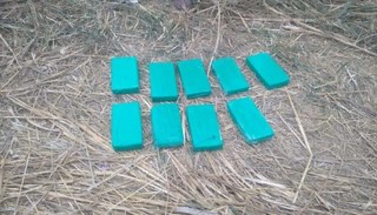Cocaina