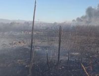 Voraz incendio afectó terrenos en la ampliación de barrio San Carlos