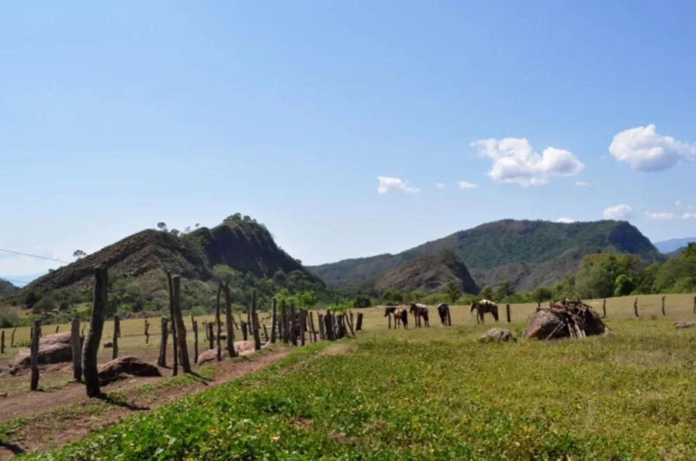 Un intendente salteño prometía lotes en territorio tucumano, pero se los robaba