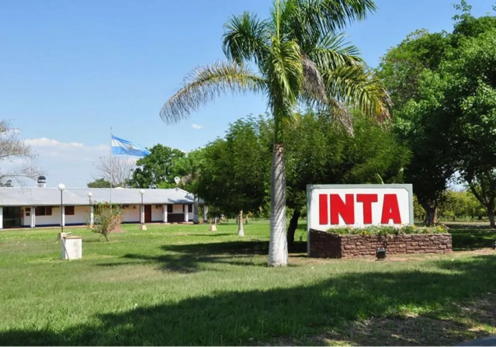 Luz verde al proyecto que busca quitar tierras al INTA para casi 900 lotes en Salta     