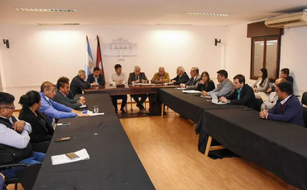 El Senado tratará hoy las modificaciones al régimen penal juvenil de Salta