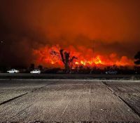 Alerta roja por riesgo de incendios forestales en Orán: medidas preventivas y recomendaciones