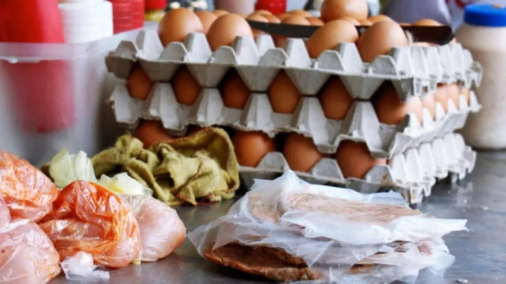 Salmonella en Salta: no se registraron casos en la última semana