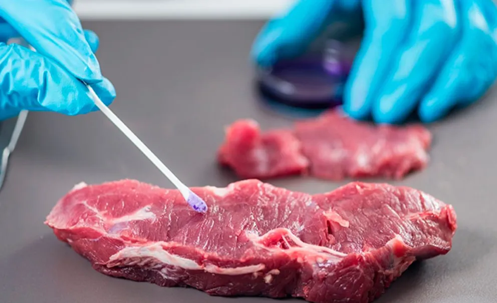 Casos de salmonella en Salta: expertos piden reforzar las medidas de higiene personal y seguridad alimentaria