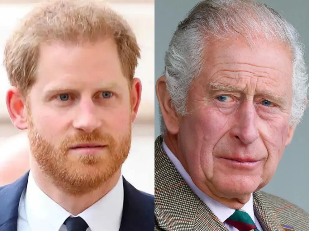 Así fue como el príncipe Harry se hizo presente en el cumpleaños del rey Carlos