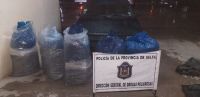 Salta: hallaron drogas y hojas de coca en la bodega de un colectivo interurbano     