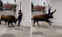 El salvaje ataque de un toro a una mujer que miraba el móvil durante un encierro en Madrid