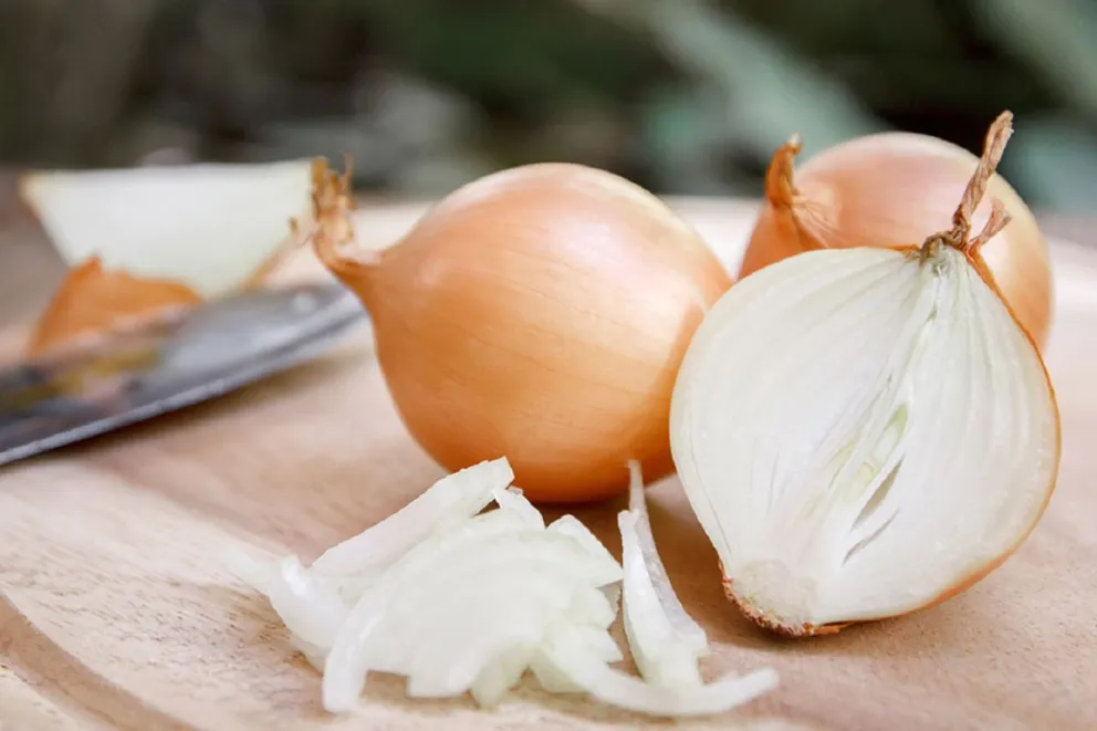 Las mejores cebollas para tus recetas: descubrí cómo cultivarlas con esta sencilla y económica técnica en casa