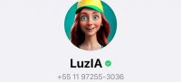 WhatsApp incorpora inteligencia artificial: cómo funciona LuzIA y para qué sirve