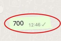 La nueva tendencia que arrasa WhatsApp: el verdadero significado de recibir el número 700 en un mensaje