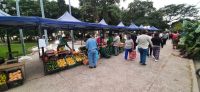 Pequeños productores de Orán  se unen para ofrecer verduras a precios accesibles en el “Verdurazo”