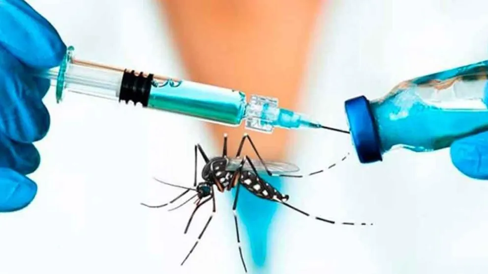 Vacuna contra el dengue en Salta: quiénes serán los primeros en recibirla