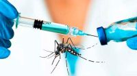 Vacuna contra el dengue en Salta: quiénes serán los primeros en recibirla