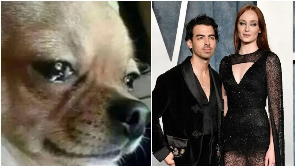Estos son los mejores memes que nos han dejado la separación de Sophie Turner de Joe Jonas