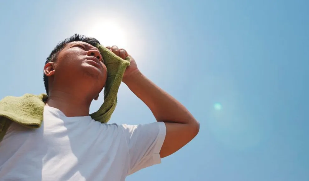 Riesgo de incendios: pronostican calor extremo en Salta por el viento zonda 