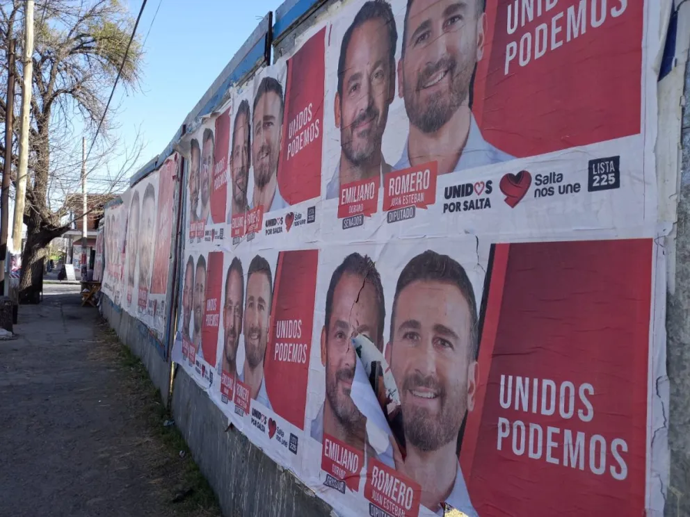 Publicidad oficial y cartelería electoral: propusieron que al menos el 10% presente mensajes de bien común