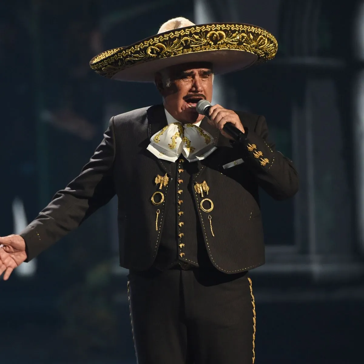 VICENTE FERNANDEZ