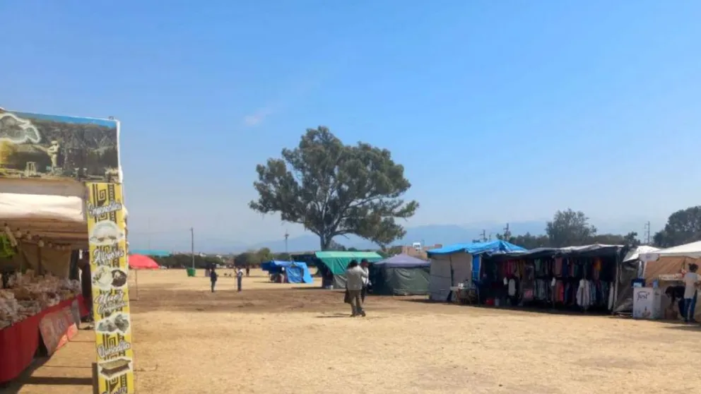 Milagro en Salta: piden boleto de SAETA gratis en la procesión y mayor limpieza en la Feria  