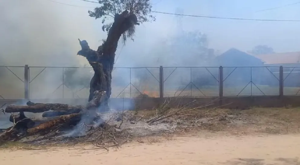 Susto en escuela salteña por incendio que se desató a pocos metros
