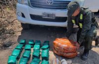 Secuestran más de 300 kilos de hojas de coca en operativos en Salta y Jujuy