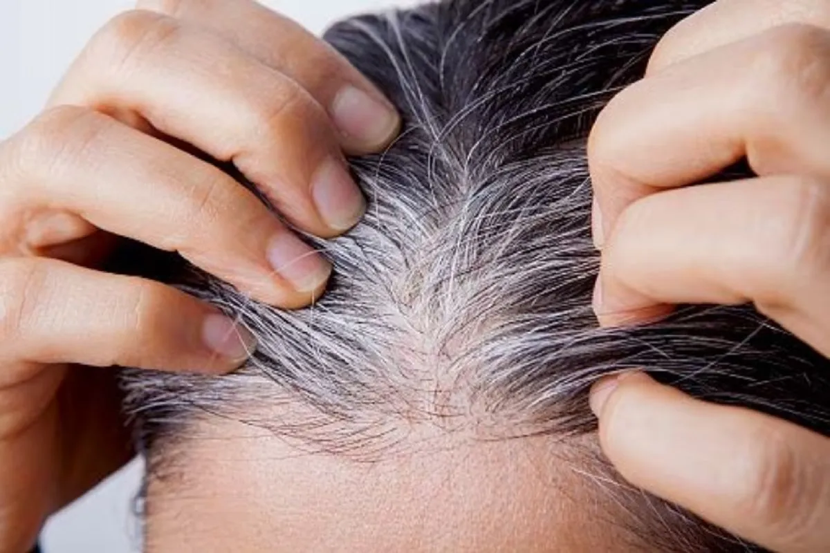 CABELLO CON CANAS