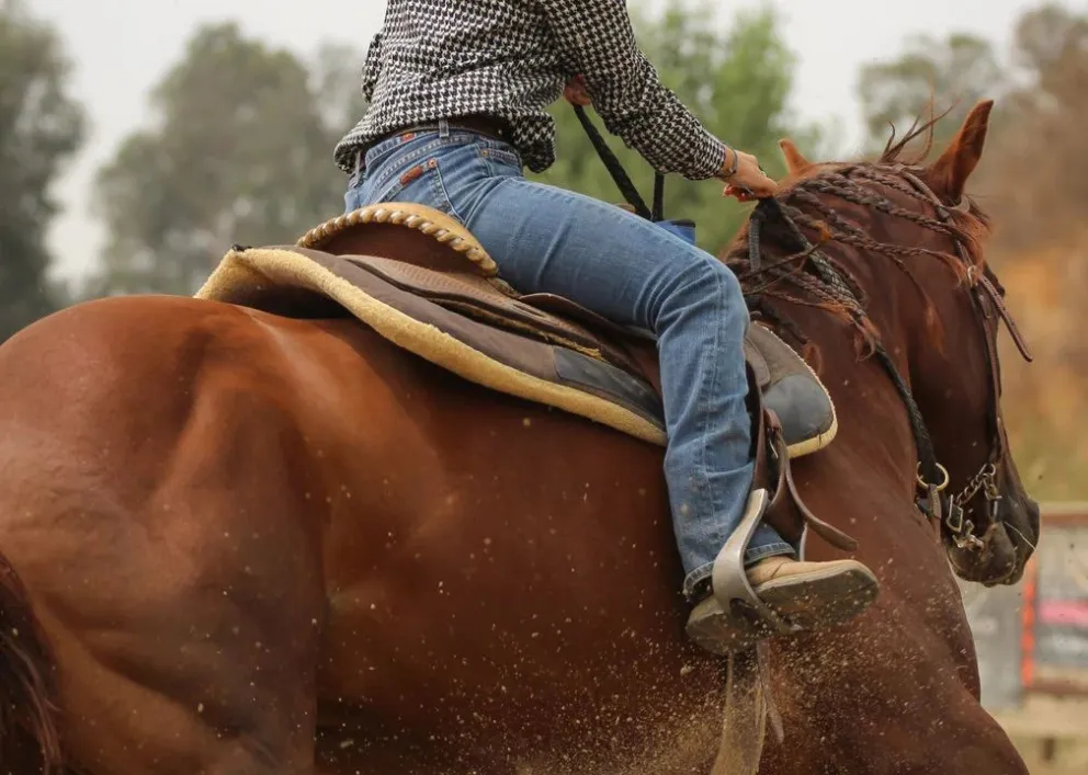 Insólito robo en Orán: saltó de un caballo, le quitó la mochila y huyó corriendo 