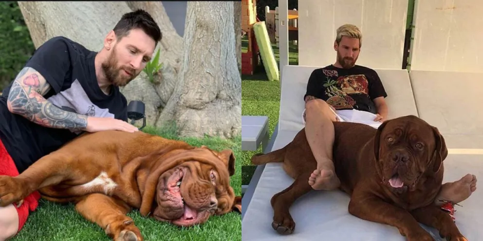 Lionel Messi reveló dónde está Hulk, su perro gigante, y confirmó una desgarradora noticia