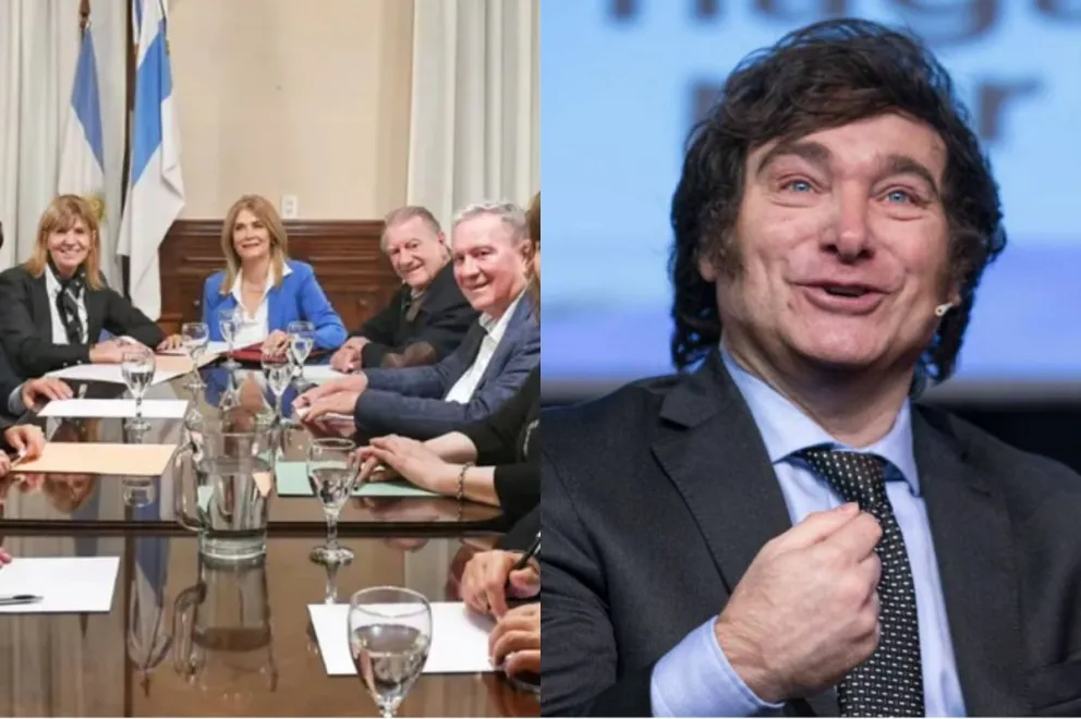 En contra de las propuestas de Javier Milei, 18 vicegobernadores se unieron en defensa de la coparticipación 