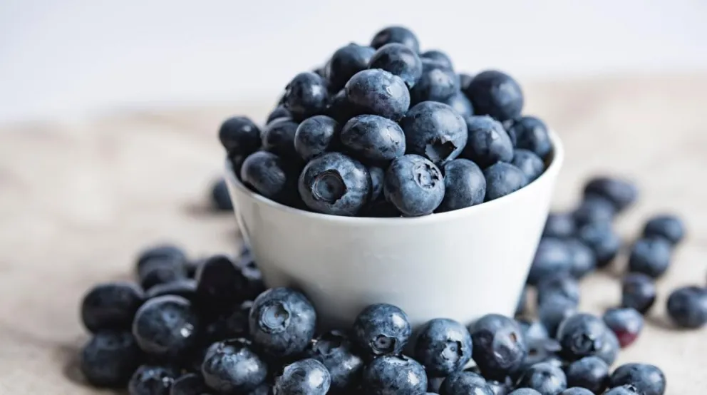 De estas dos sencillas formas podés incluir los arándanos a tu dieta: recetas deliciosas y saludables