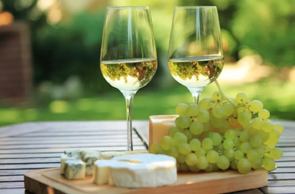 10° edición de la Semana del Torrontés: Salta se prepara para una celebración de vino y cultura